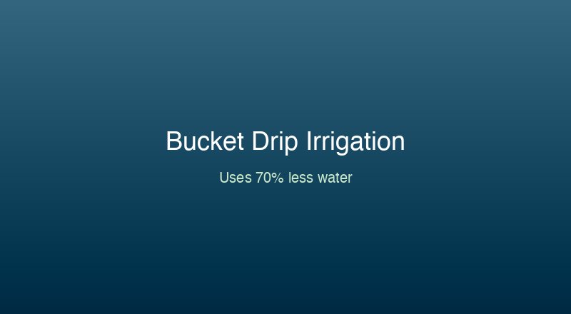 Gravity-fed bucket drip irrigation system